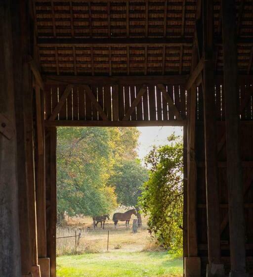 膳宿费 Chambre D Hôtes Fantesstique