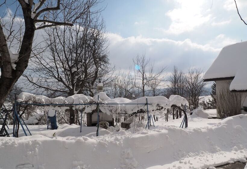 ペンション Guest House Sara Latin