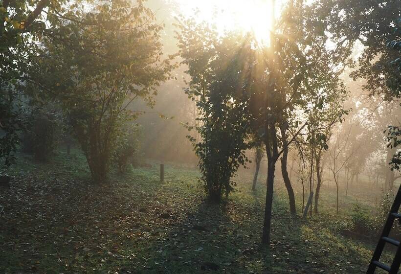 ペンション Guest House Sara Latin