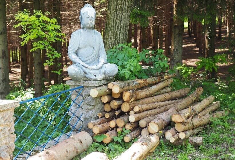 بنسيون Guest House Sara Latin