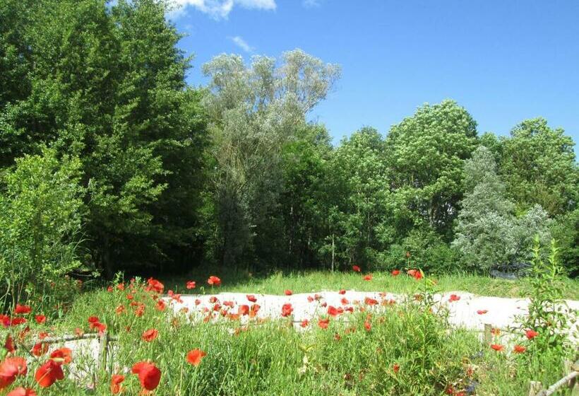 膳宿费 La Fuste Des Garceaux