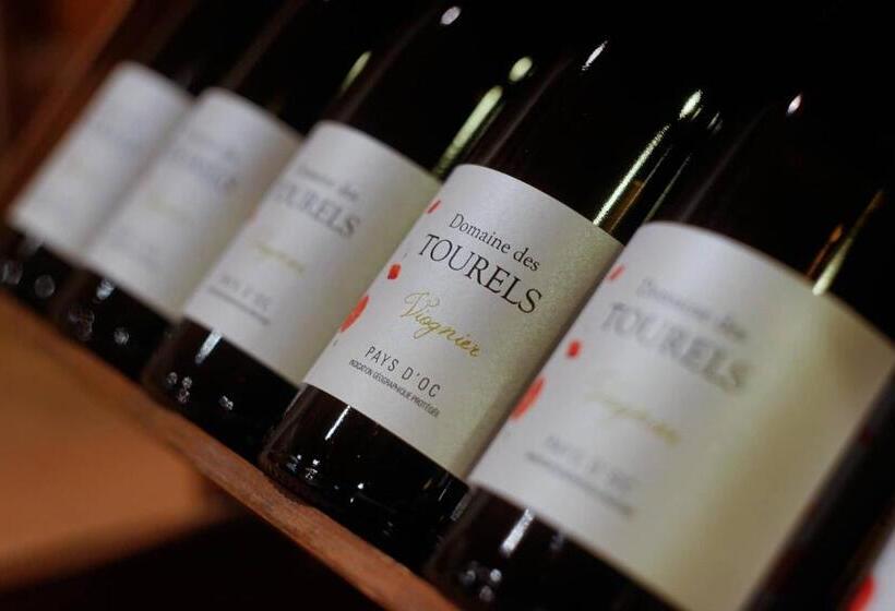 ペンション La Maison Grenadine Près Du Canal Du Midi