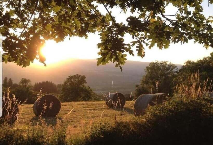 بنسيون Le Clos Des Frasses