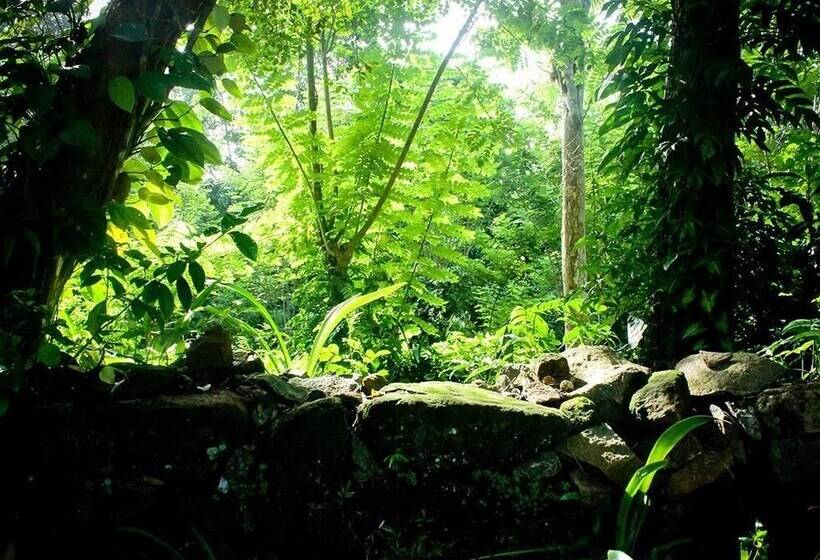 ペンション Maygrove View Villa