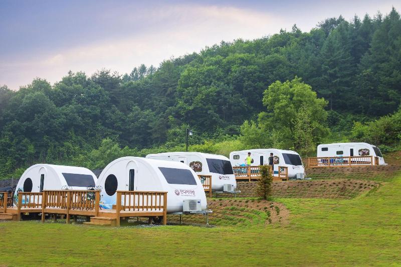 膳宿费 Nature And Healing