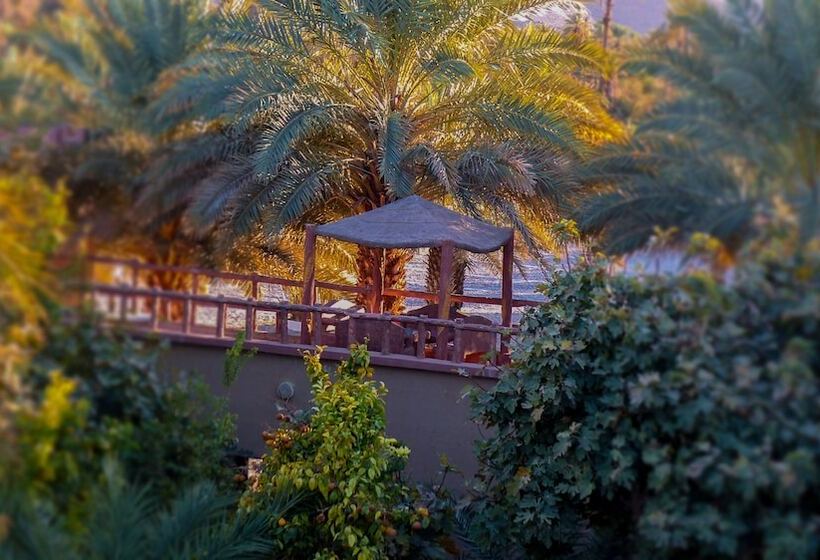 پانسیون Oasis Dar Ouanou