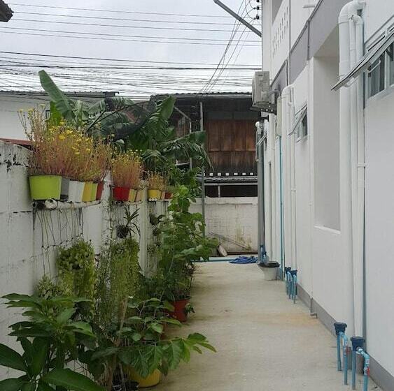 بنسيون Patchy&ppraw Family