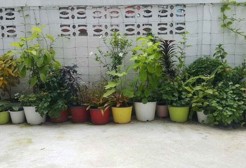 بنسيون Patchy&ppraw Family