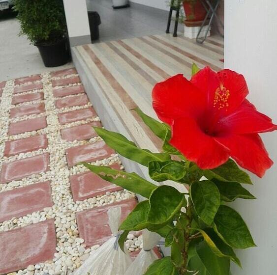 بنسيون Patchy&ppraw Family