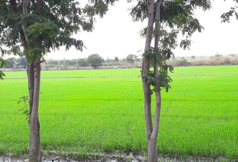 膳宿费 Punna Homestay @ Bangsai