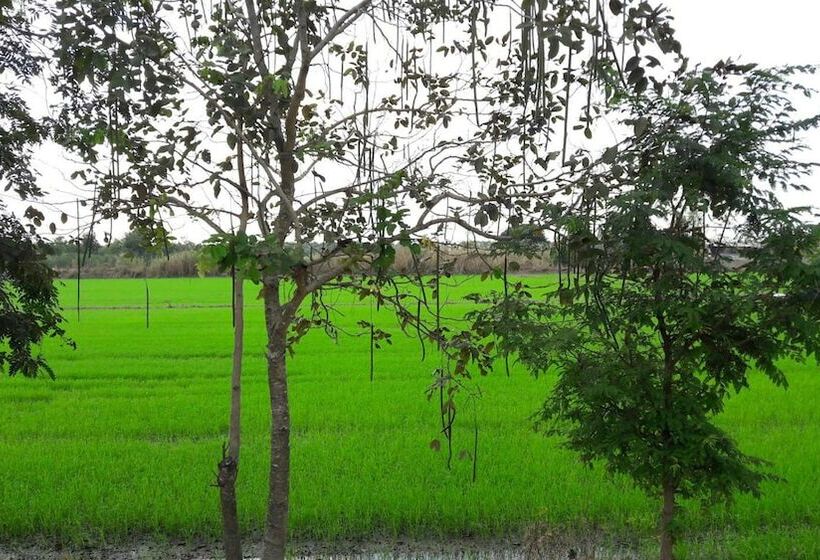 膳宿费 Punna Homestay @ Bangsai