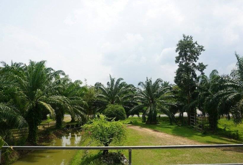 بنسيون Steelloft  Home Stay