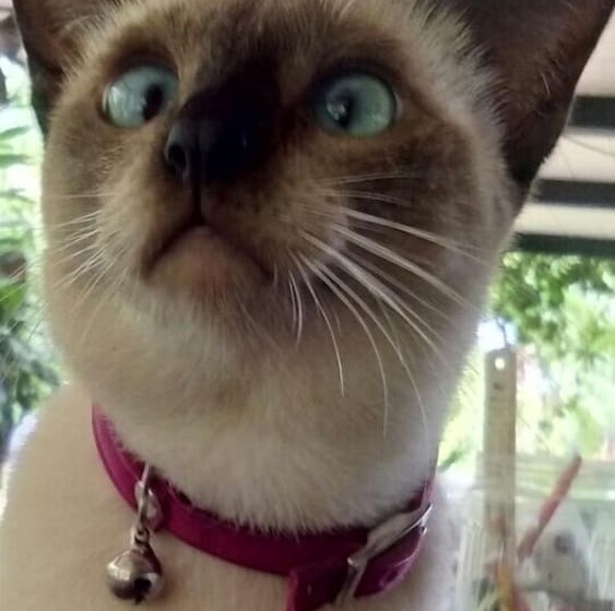 פנסיון Steelloft  Home Stay