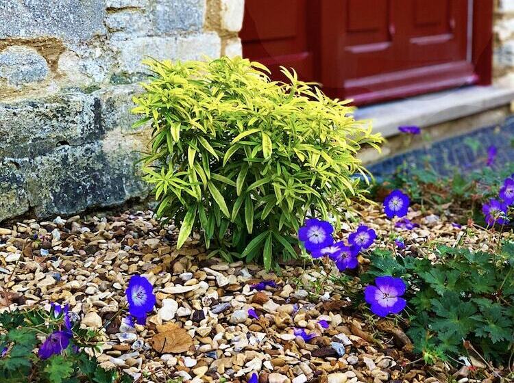 Пансион The Baptist Chapel   5