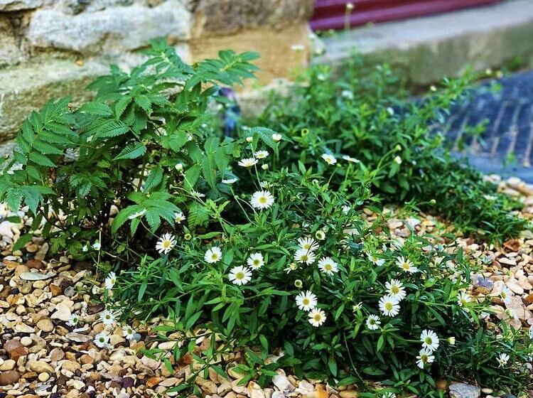 Пансион The Baptist Chapel   5