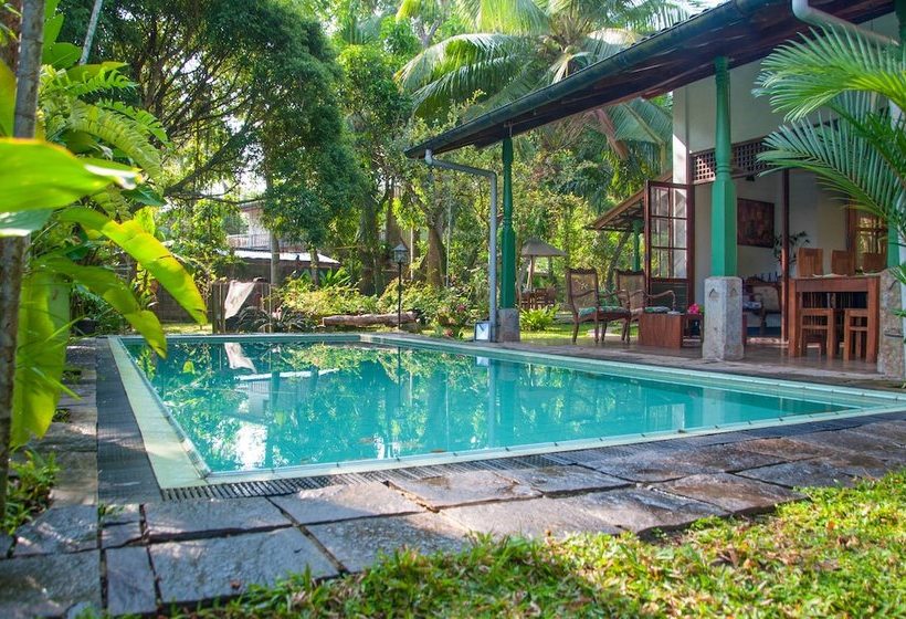 펜션 The Fern Cove Colombo