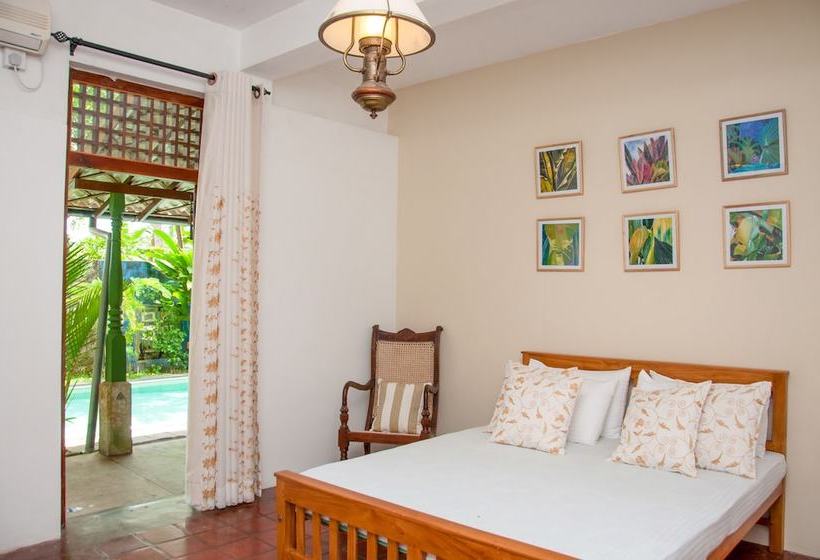 펜션 The Fern Cove Colombo