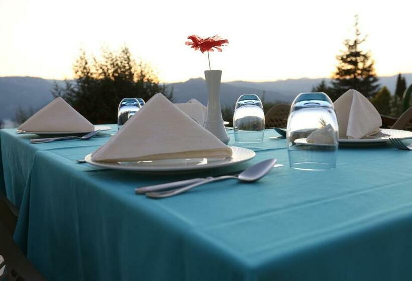 Selcuklu Otel   Special Class