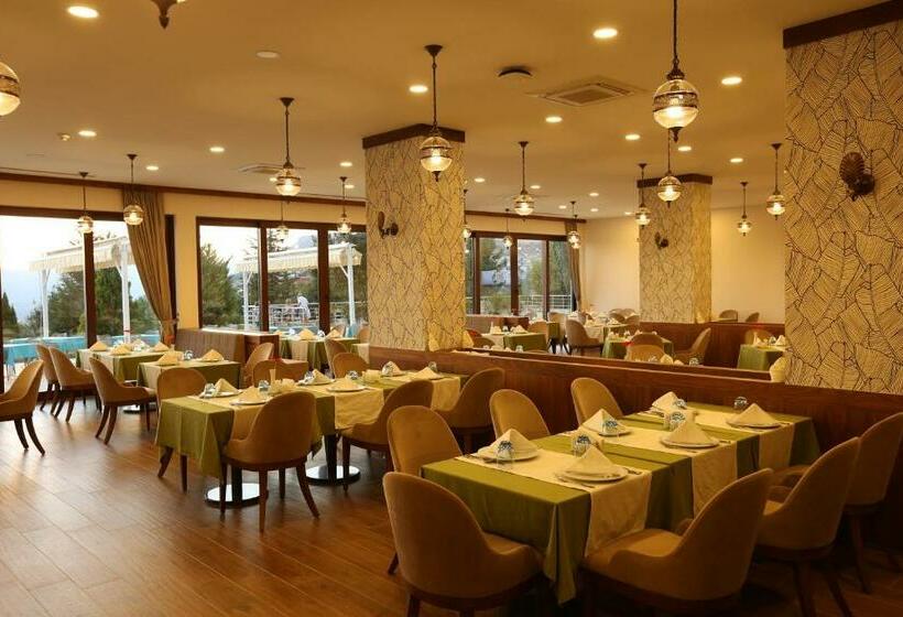 Selcuklu Otel   Special Class