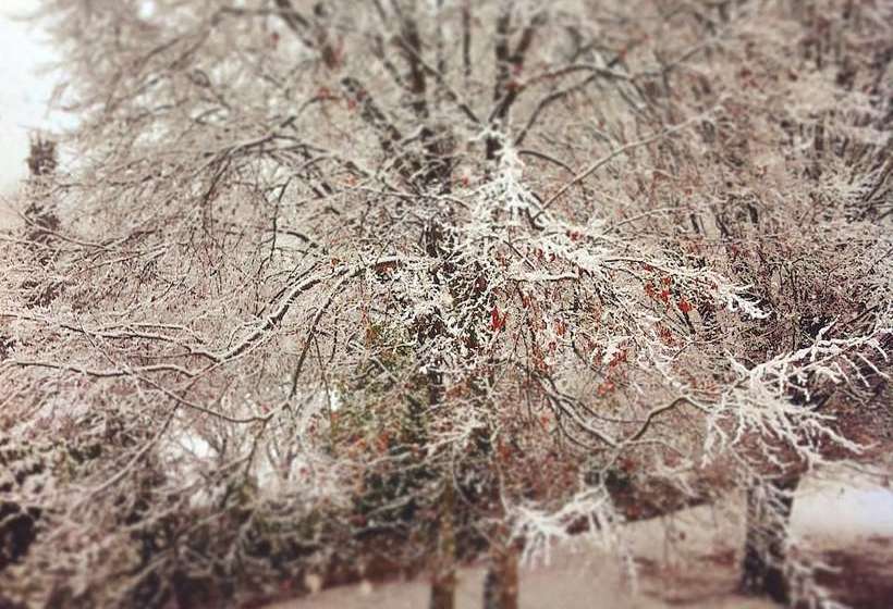 B&b Alla Gazza Ladra