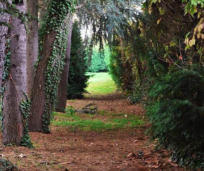 B&b Alla Gazza Ladra