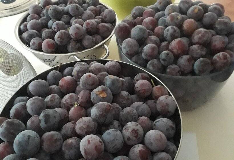 צימר Le Parc Des Aubiers