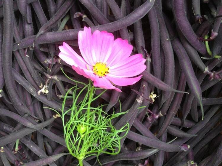 צימר Le Parc Des Aubiers