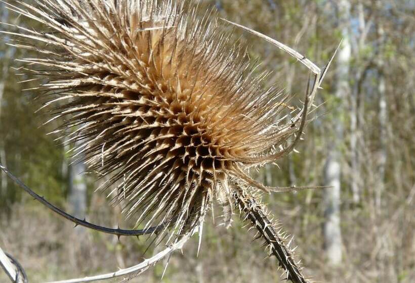 צימר Le Parc Des Aubiers