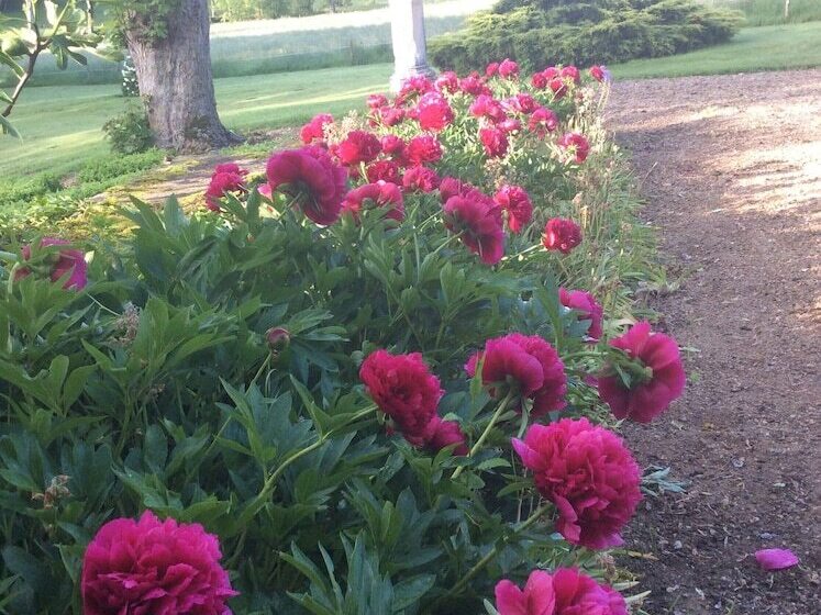 ベッドアンドブレックファースト Manoir De Curty