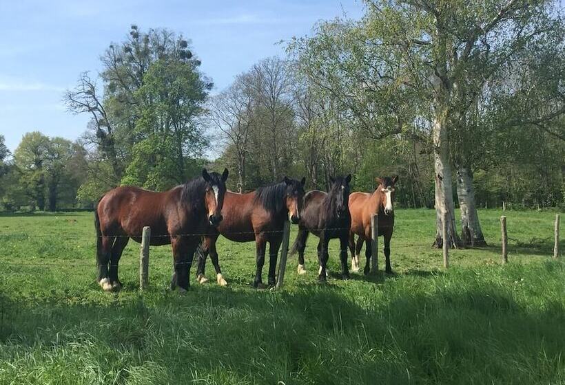 住宿加早餐 Rêves De Gamins