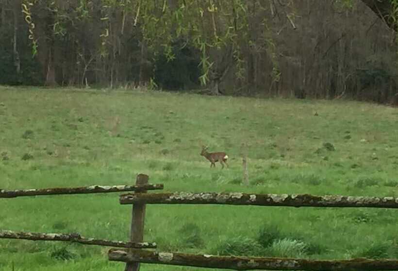 住宿加早餐 Rêves De Gamins