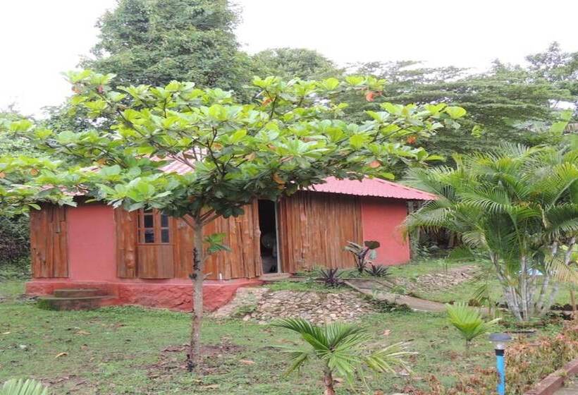 Dandeli Mysa Rc   Hostel