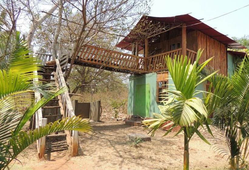 Dandeli Mysa Rc   Hostel