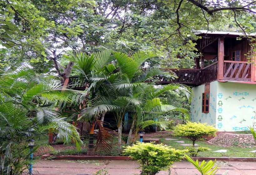 Dandeli Mysa Rc   Hostel