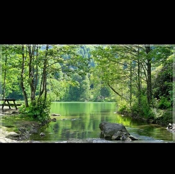 酒店 Adas Dag Evi & Restoran