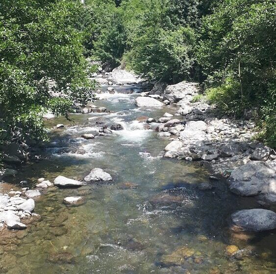 酒店 Adas Dag Evi & Restoran