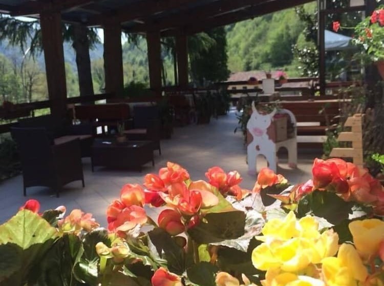 酒店 Albergo Alla Trota