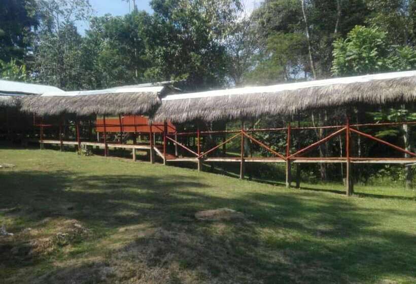 هتل Amazon Queen Lodge