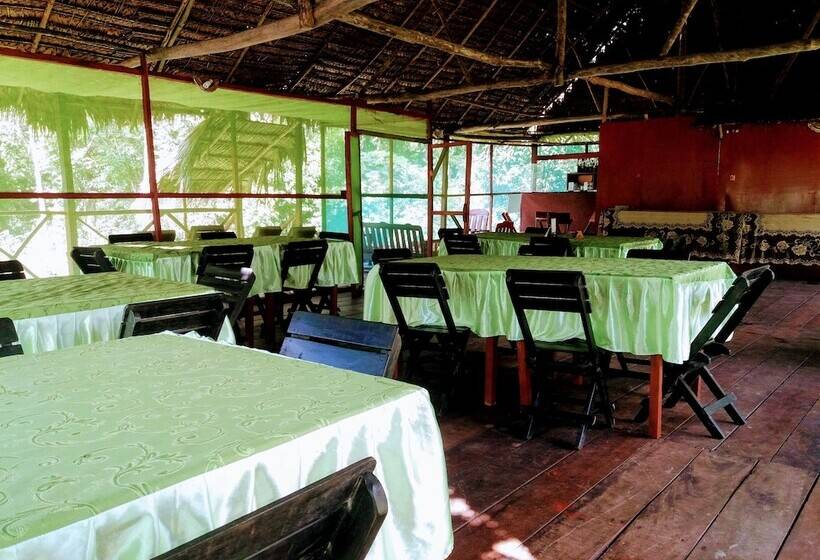 هتل Amazon Queen Lodge