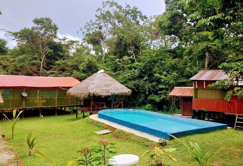 هتل Amazon Queen Lodge