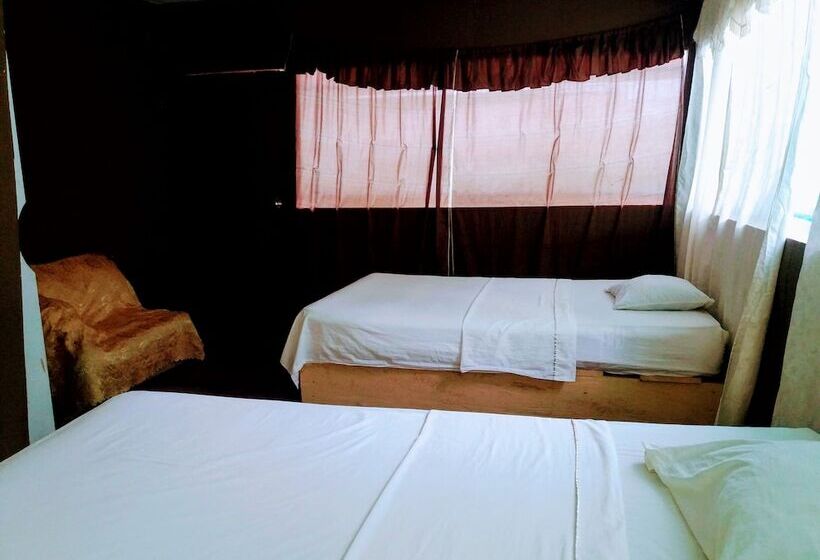 هتل Amazon Queen Lodge