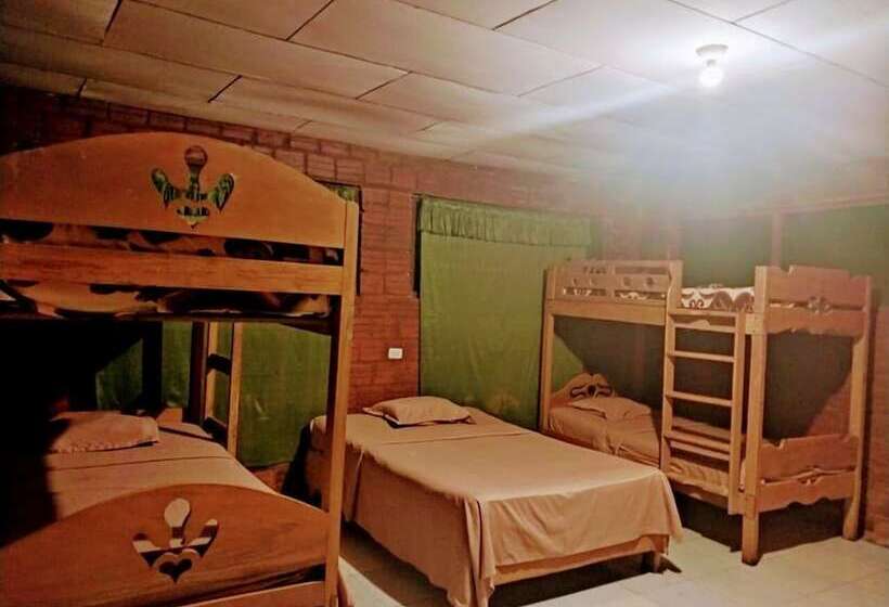 هتل Amazon Queen Lodge