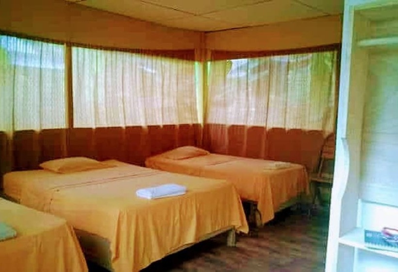 هتل Amazon Queen Lodge