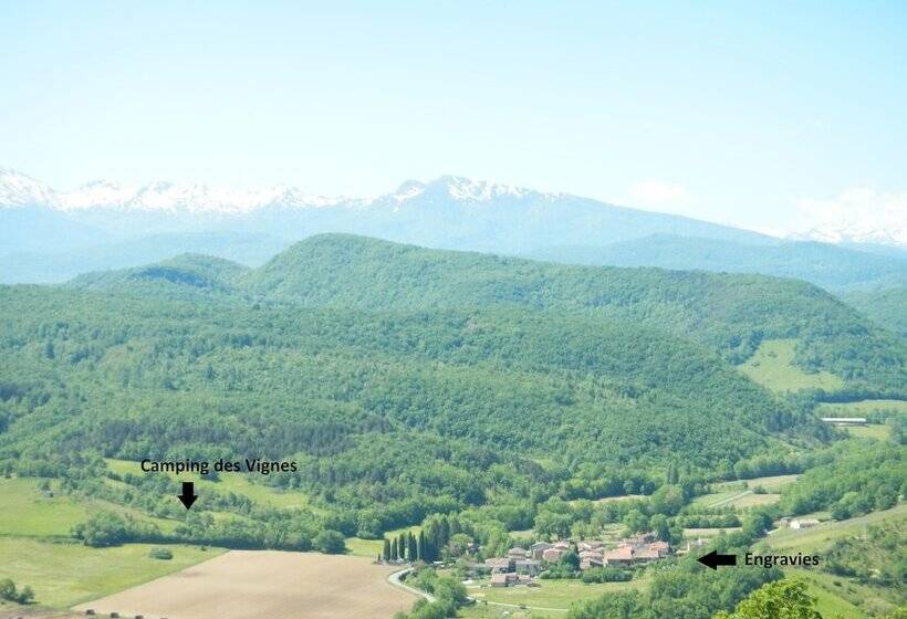 ホテル Camping Des Vignes