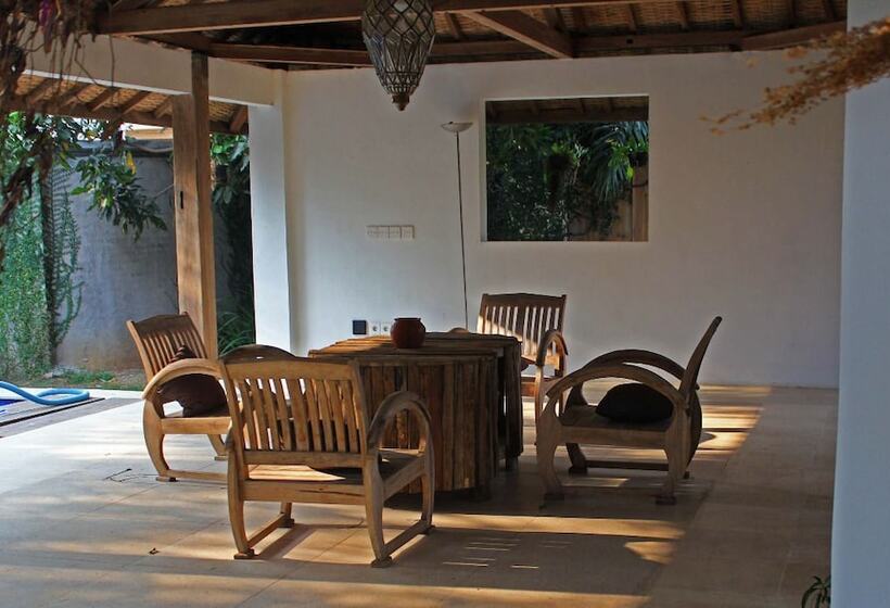 Отель Coconut Lodge