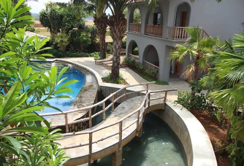 Отель Coconut Lodge