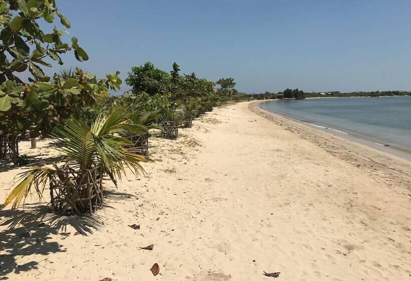 Отель Coconut Lodge