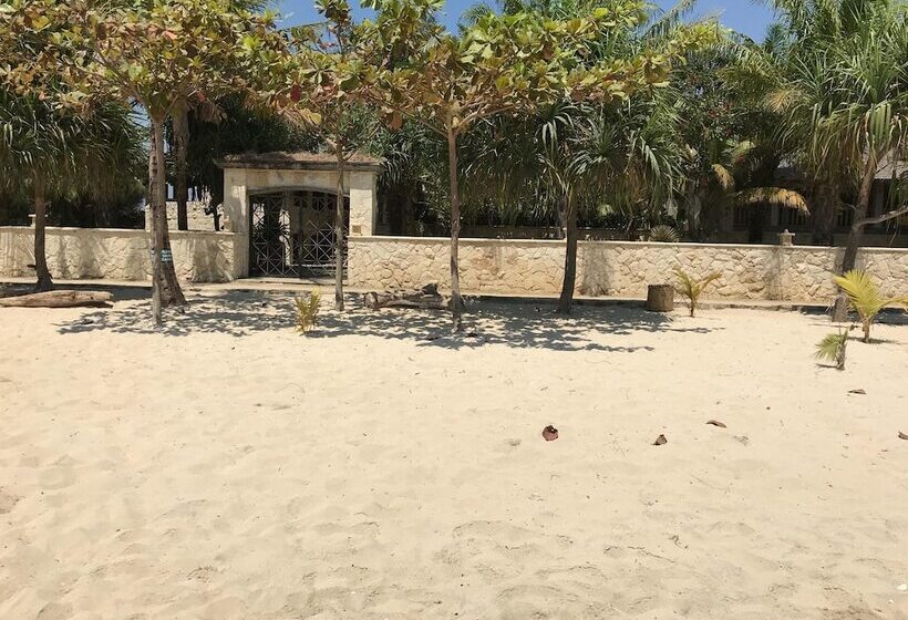 ホテル Coconut Lodge