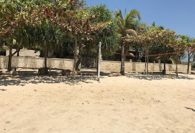 Отель Coconut Lodge