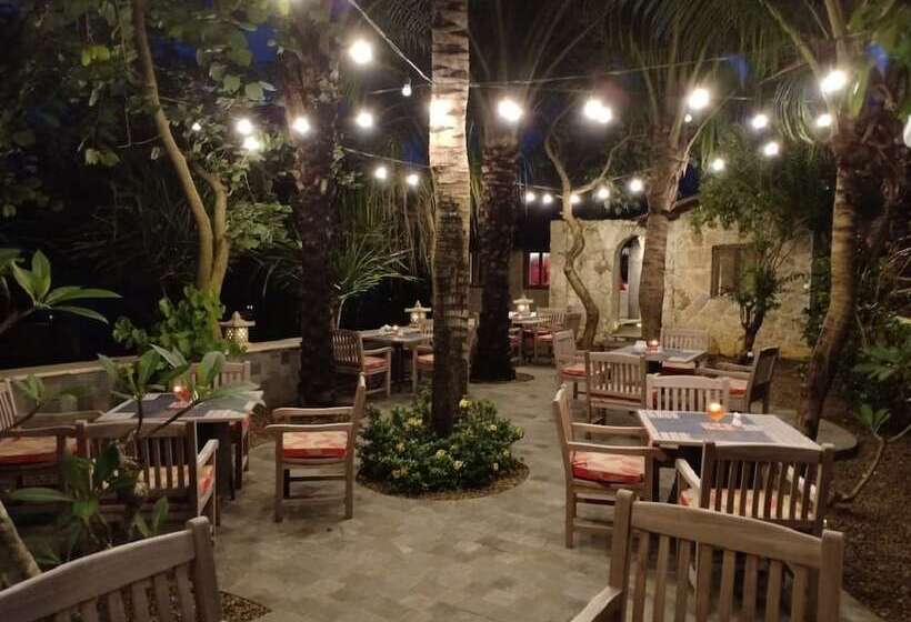 Отель Coconut Lodge